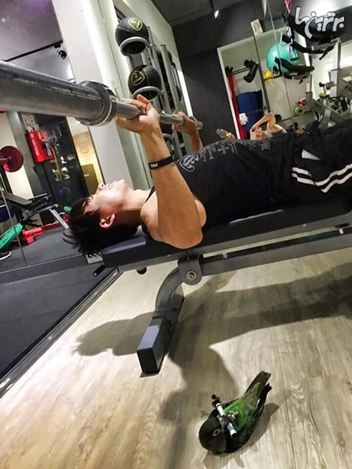 صحنه‌های عجیبی که افراد در باشگاه‌ها دیده اند