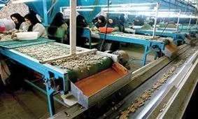 سهم ۳۰درصدی اشتغال بخش تعاون در استان تهران