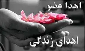 اهدای اعضای بدن بیمار مرگ مغزی در مشهد
