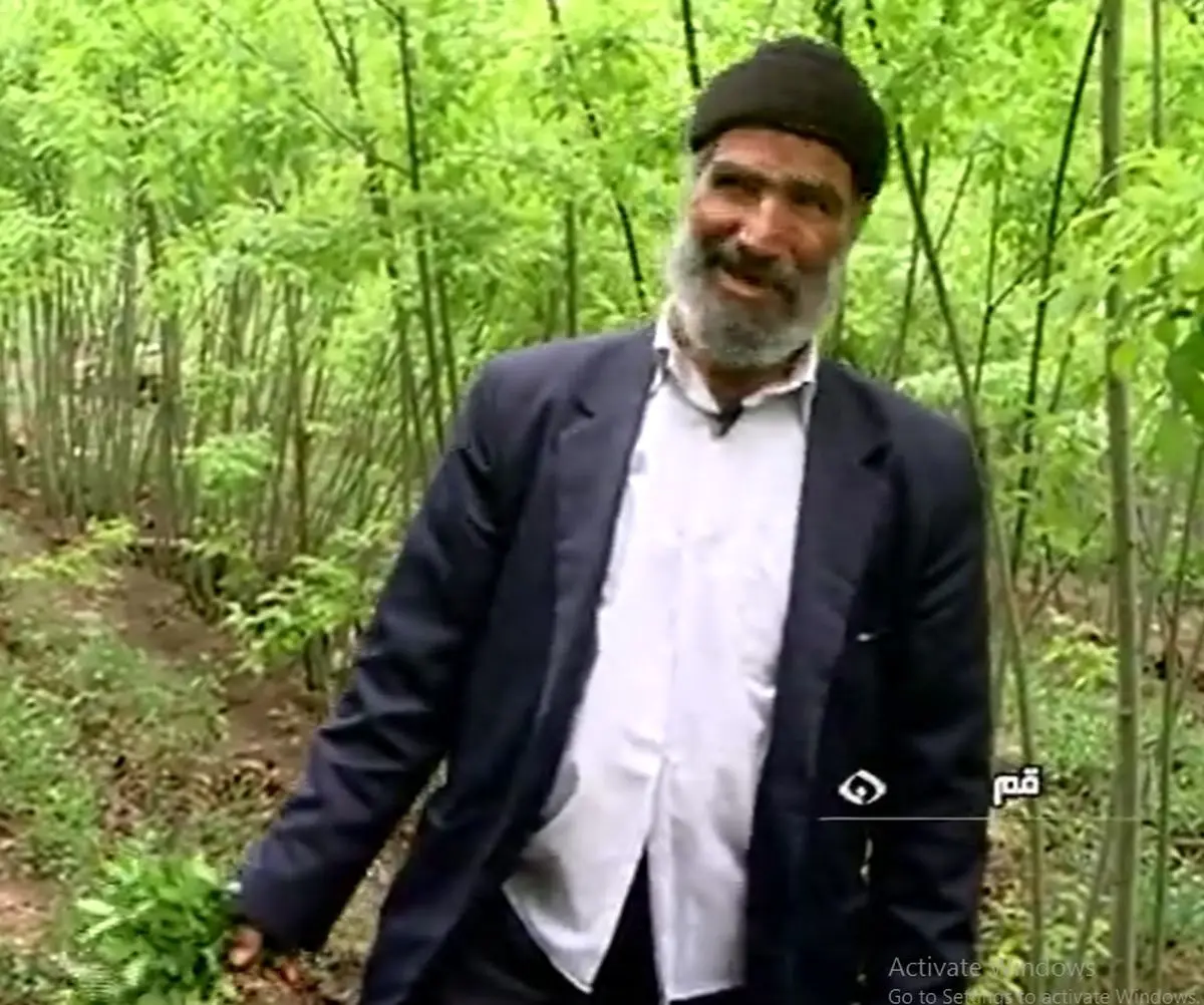 بهشتی خانوادگی در میان گیاهان دارویی