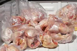 کشف ۲۰۰کیلو گرم مرغ قاچاق تاریخ گذشته در یزد