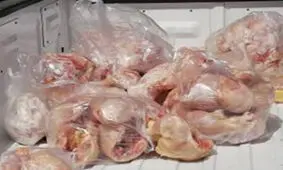 کشف ۲۰۰کیلو گرم مرغ قاچاق تاریخ گذشته در یزد