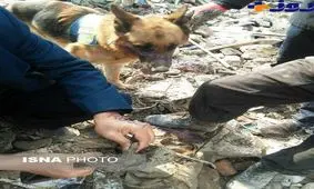 ردی که از یکی از آتش نشانان در آوار پلاسکو پیدا شد+ عکس