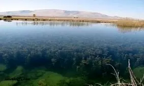 پیگیر مستمر حقابه تالاب حله هستیم