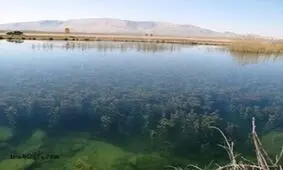 پیگیر مستمر حقابه تالاب حله هستیم