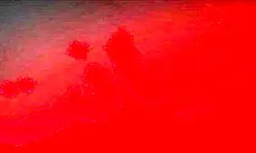 ارتباط بی رحمانه تازه عروس با دوست مجرد داماد