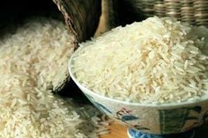 کشف دو انبار برنج و کولر احتکارشده در «باوی»