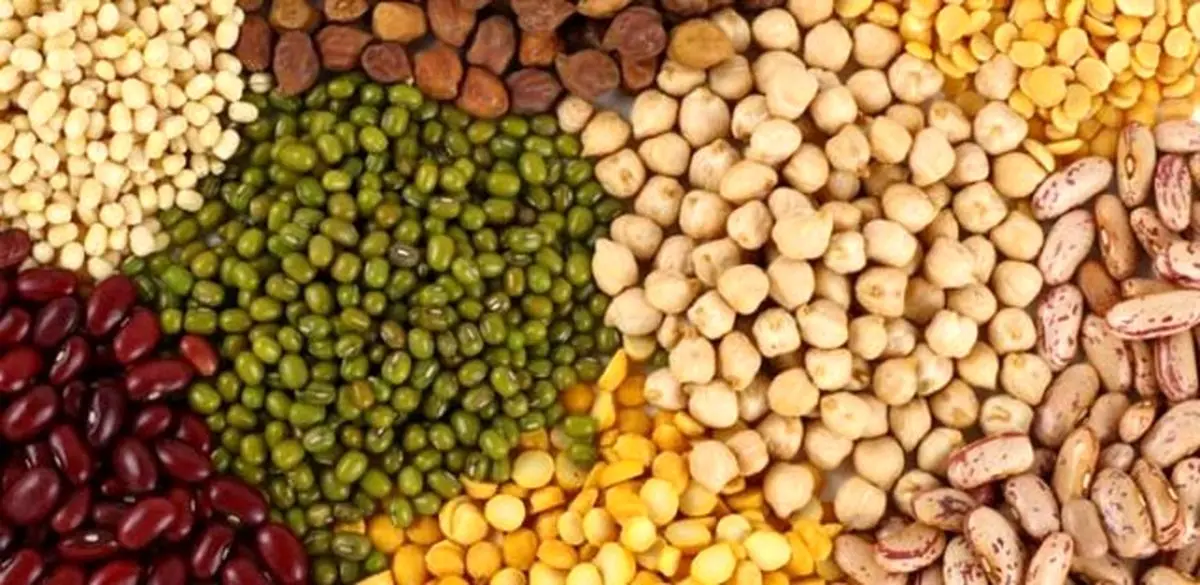 کشف ۲۱ تن انواع حبوبات احتکار شده در شهرستان رودان