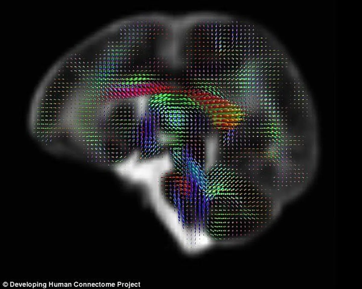 شناسایی دقیق افراد با روشی به جز "اثر انگشت"