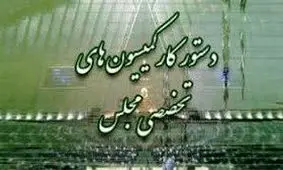 بررسی تقاضای استیضاح «رحمانی‌فضلی» و «بطحایی» در دستور کار کمیسیون‌های مجلس