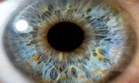 سلامت چشمان خود را با این نکات طلایی تضمین کنید