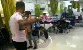 یک موش بیمارستان معروف شیراز را به هم ریخت؟!