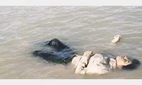 شنا مرگبار در منطقه ممنوعه