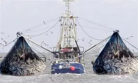 سازمان شیلات صدور مجوز ماهیگیری برای صیادان چینی را تکذیب کرد