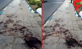 این بار گُنده لات مخوف چاقو چاقو شد! + عکس