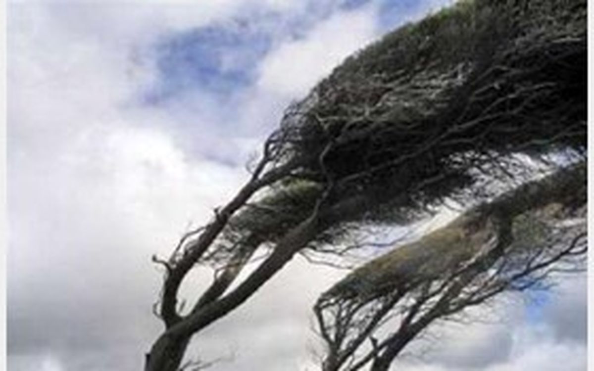 وزش باد شدید 10 استان کشور را فرا می گیرد
