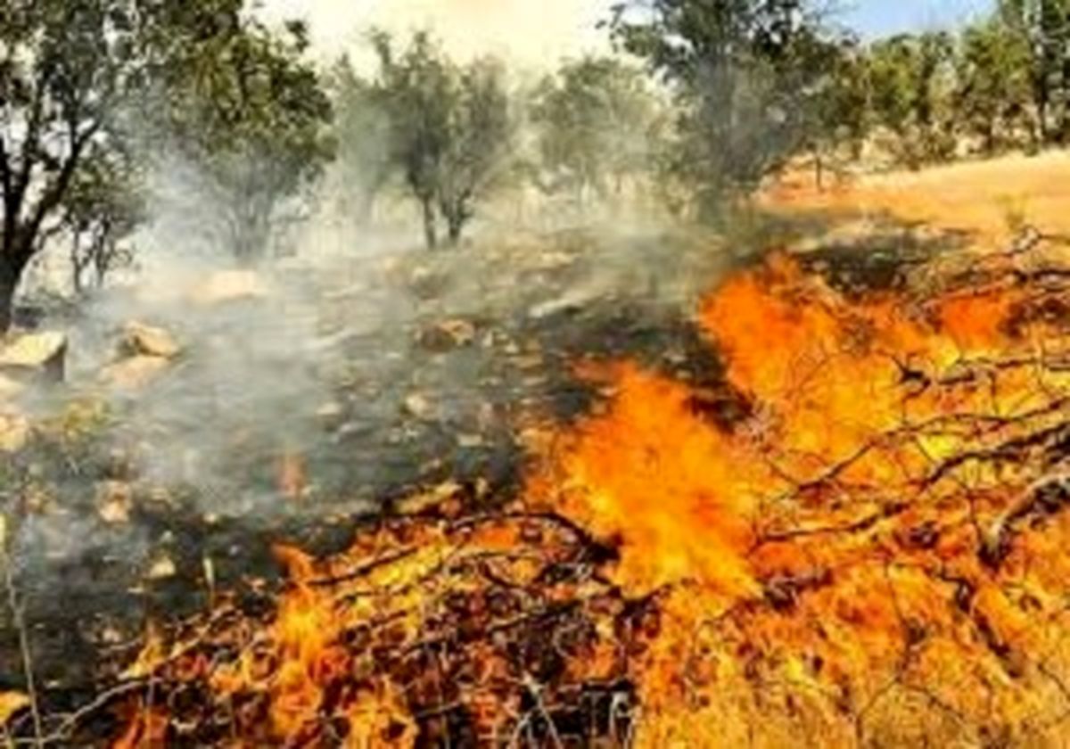 علت آتش سوزی منطقه حفاظت شده بیستون مشخص نشده است
