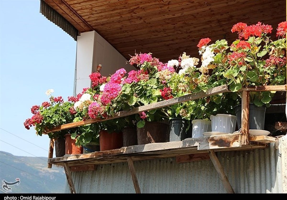 "شاهراج" روستایی در اشکورات گیلان به روایت تصویر