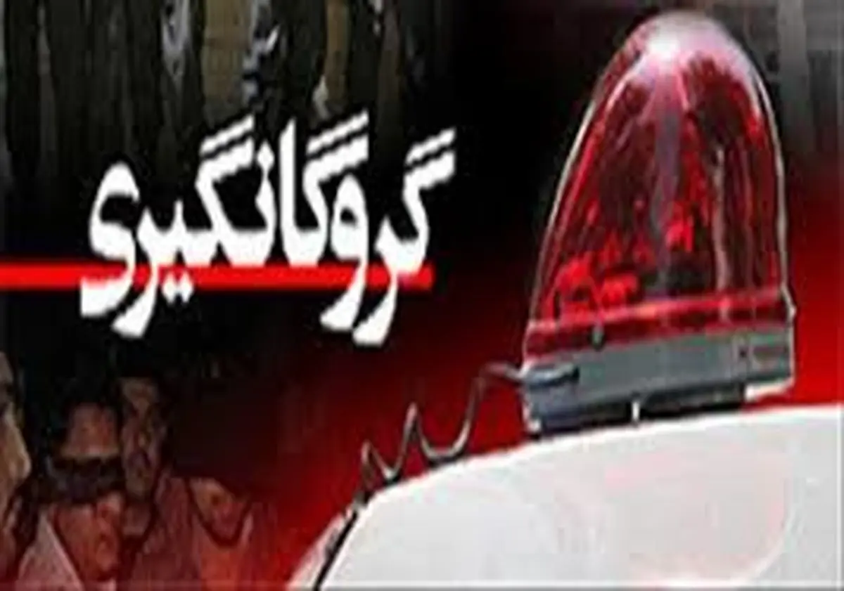 6 ساعت گروگان گیری دبیر ادبیات در خانه ویلایی شمال تهران