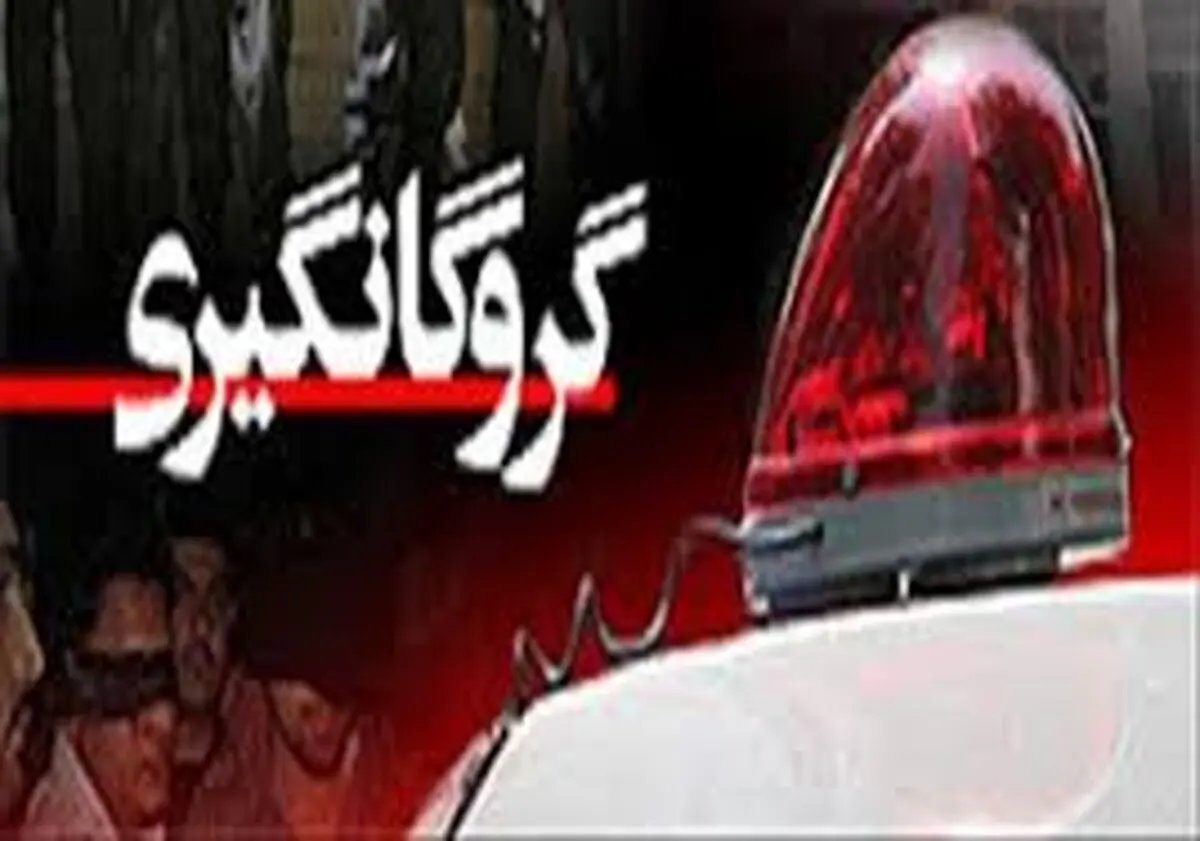 6 ساعت گروگان گیری دبیر ادبیات در خانه ویلایی شمال تهران