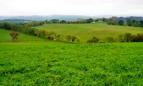 نجات یک روستا و مراتعش با دست خالی