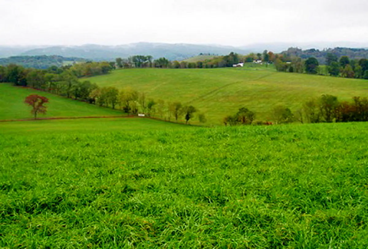 نجات یک روستا و مراتعش با دست خالی