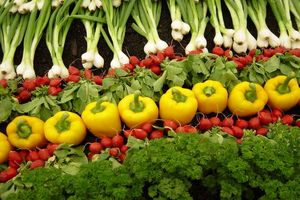 ۷ نشانه که نیاز به مصرف سبزی‌ها را هشدار می‌دهد
