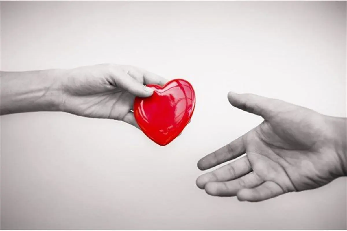 اهدای عضو تنها یک چهارم مرگ مغزی شده‌های تصادف سالانه ایران