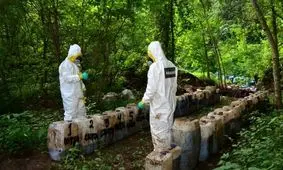 کشف آزمایشگاه مواد مخدر در منطقه کوهستانی مکزیک