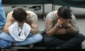 «گاوی» و «دراز» دستگیر شدند