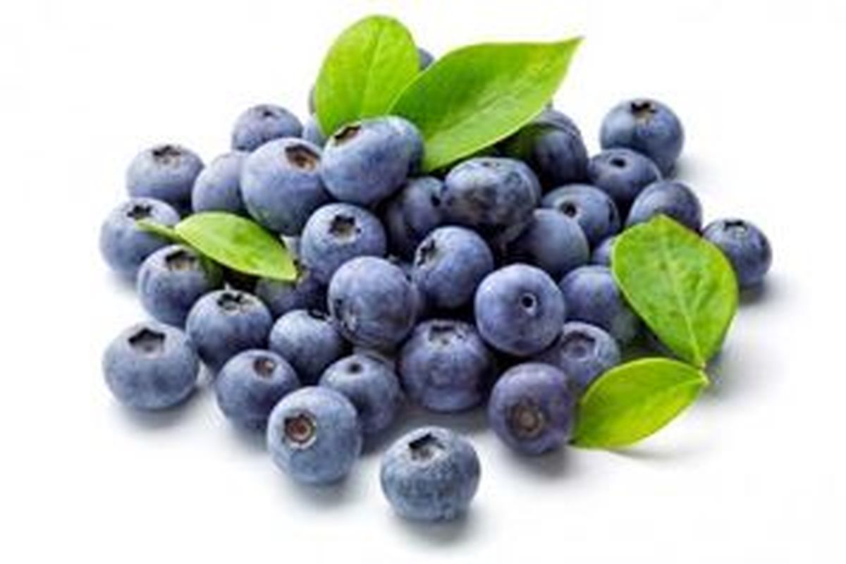 بلوبری چیست و چه خواصی دارد؟