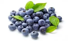 بلوبری چیست و چه خواصی دارد؟