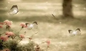 روش های علمی اثبات شده برای رسیدن به آرامش