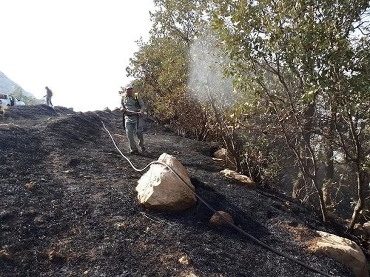 15 هکتار از جنگل‌های منطقه حفاظت شده کوسالان در آتش سوخت