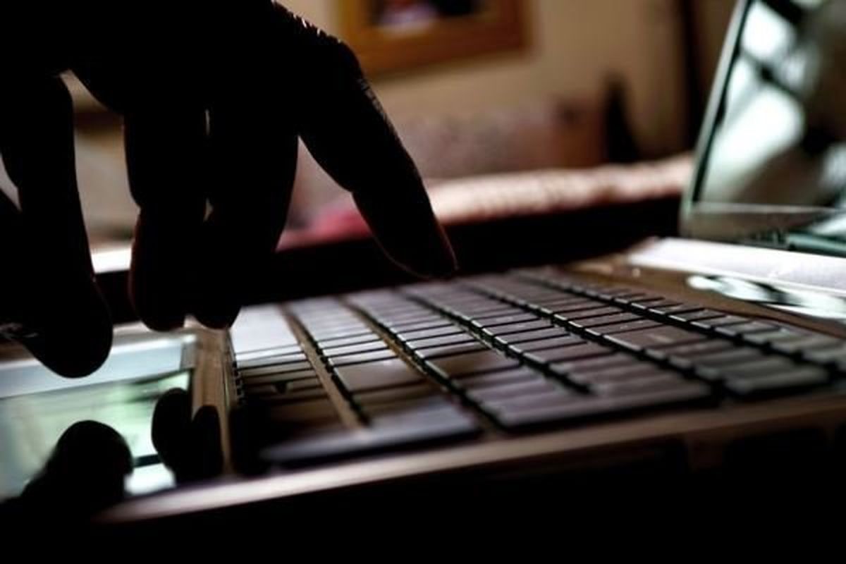 متهم برداشت غیرمجاز اینترنتی در دماوند دستگیر شد