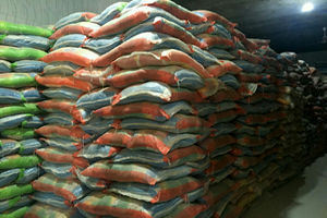 عرضه برنج هندی با نرخ هر گونی ۱۰ کیلویی ۷۱ هزار و ۵۰۰ تومان