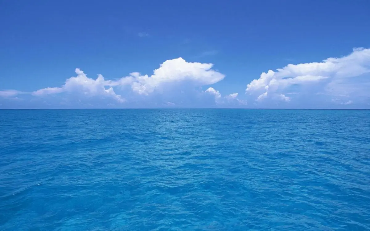 موجودات عجیب دریایی که گویا از سیاره‌ای دیگر به زمین آمده‌اند!+تصاویر