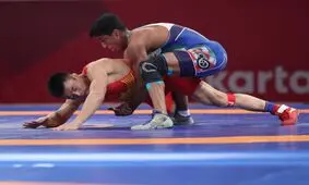 کشتی فرنگی هم طلایی شد/گرایی طلا گرفت