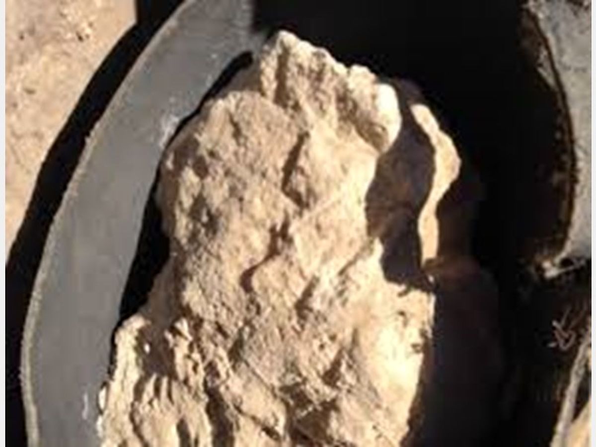کشف پنیر ۳۲۰۰ ساله در مصر