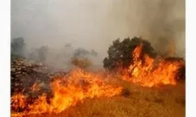 دو متخلف محیط زیست آتش به پا کردند  