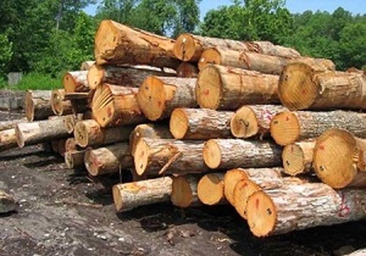 کشف 92 اصله چوب آلات قاچاق جنگلی در اردبیل