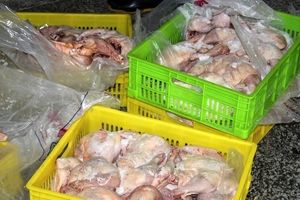 ۶ تن مرغ فاسد در شهرستان فراهان کشف و توقیف شد