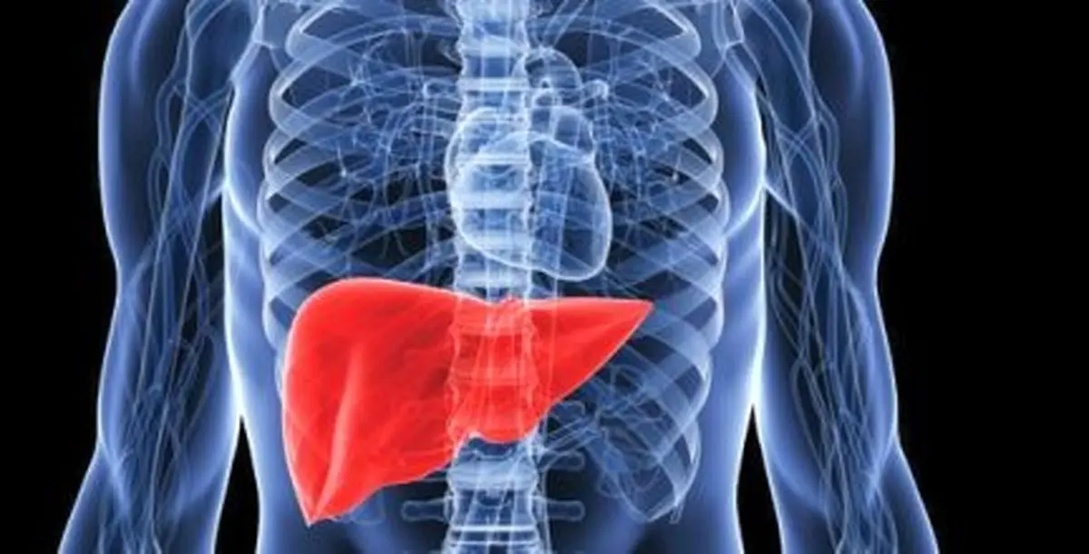 چگونه بدنمان را سم زدایی کنیم؟