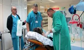 شیوع بیماری ویروس نیل غربی در سرزمین های اشغالی