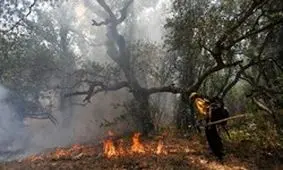 جنگل‌های اندیمشک دوباره دچار آتس‌سوزی شد