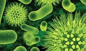 موجودات زنده‌ای که در بدن انسان زندگی می کنند!