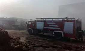 آتش‌سوی کارگاه شارژ سیلندر گاز خیابان سلامت قم مهار شد؛ مصدومیت دو آتش‌نشان