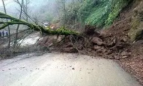 مسدود شدن راه روستاهای بخش چلو اندیکا بخاطر سقوط درخت بلوط