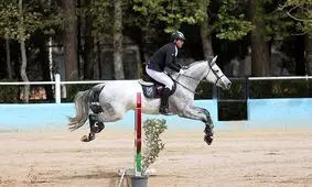 اخراج ترابی از رقابت‌های سوارکاری آسیا