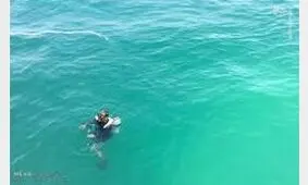 نجات گوسفند به قیمت جان صاحبش تمام شد